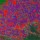 Land-use mapping with Sentinel 1 & 2